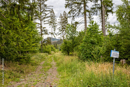 Wandern im Harz, am Granestausee, Granetalsperre, Durchgang zum Wasser verboten, Trinkwasserschutzgebiet