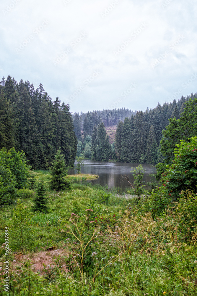 Foto Stock Wandern im Harz, am Grumbacher Teich Adobe Stock