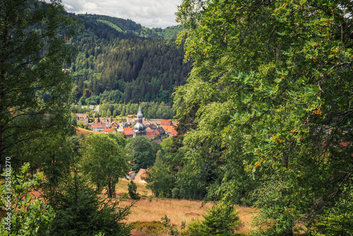 Bergstadt Lautenthal im Harz, Rund um Lautenthal, Goslar, Harz, Bergbau, Bergbauleerpfad, Wandern und Panorama