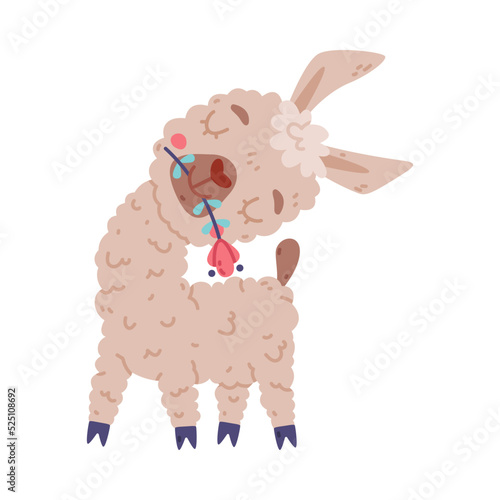 Cute baby llama with flower in its mouth. Alpaca domesticated animal. Childish print for sticker, card, textile, nursery decor vector illustration