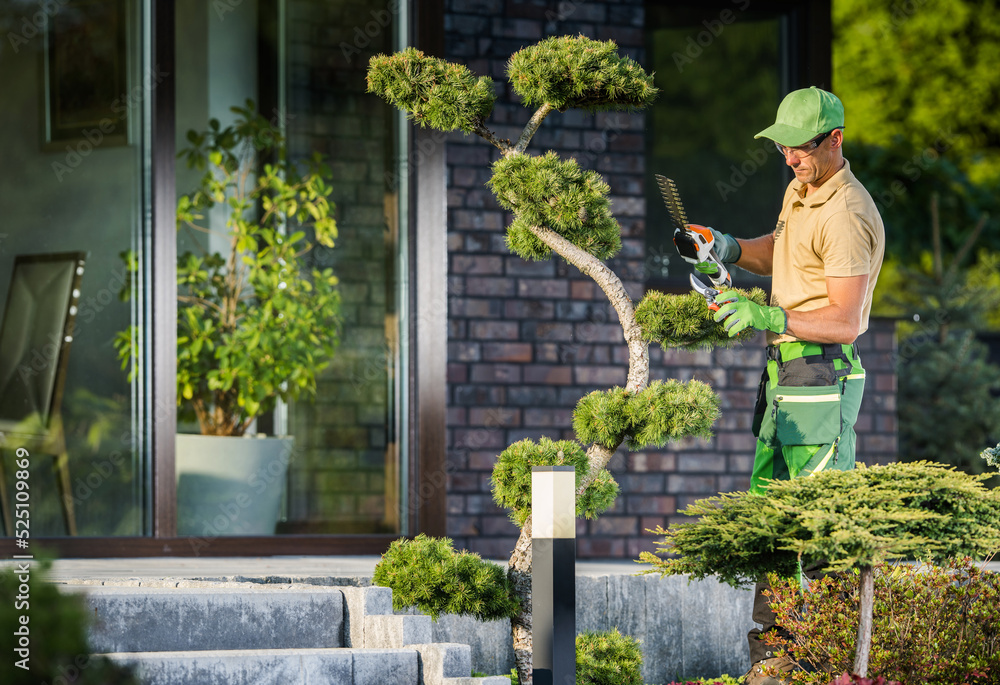 Garden Worker Trimming Decorative Tree Using Cordless Shaping Trimmer garden-worker-trimming-decorative-tree-using-cordless-shaping-trimmer