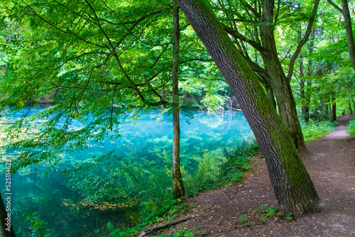 Hungarian tarn near the National Park of Aggtelek, Hungary, Josvafo