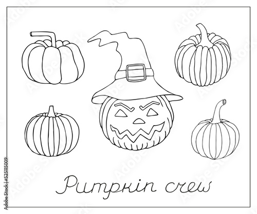 Halloween doodle collection of pumpkins. Hand-drawn realistic and carved scary pumpkins.