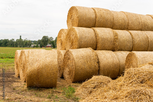Many haystacks, blocks of hay, bales, stack of hay, rectangular bales on the field