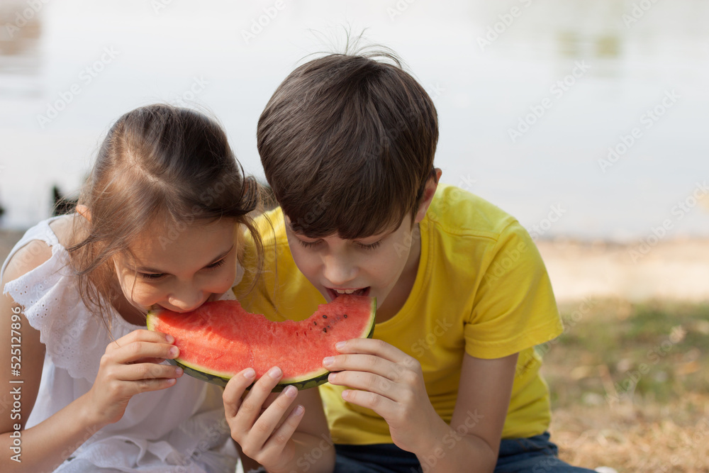 Fototapeta premium children eat watermelon in nature