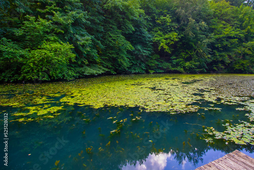 Hungarian tarn near the National Park of Aggtelek, Hungary, Josvafo