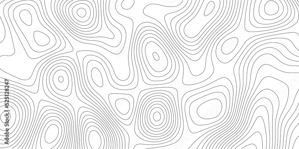 Abstract design with black and white abstract background . Topography map concept. 3d rendering . Creative and similar design with white and black tone paper cut wave curve with blank space design	
