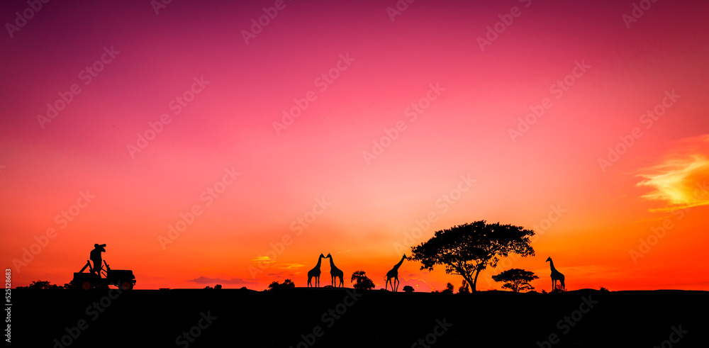 kenya safari background. amazing sunset and sunrise.