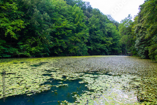Hungarian tarn near the National Park of Aggtelek, Hungary, Josvafo