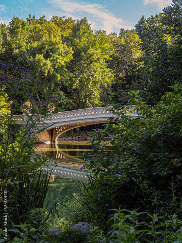 Bow bridge in late summer © John Anderson