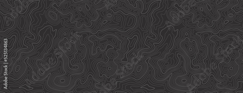  topographic map Background. Topographic map lines, contour background. Geographic abstract grid. EPS 10 vector illustration