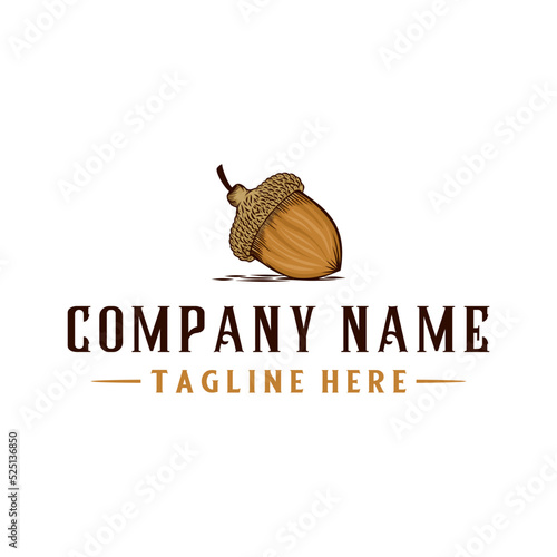 Logo Vector design Illustration of acorns. acorn concept in vintage style, for any kind of business.