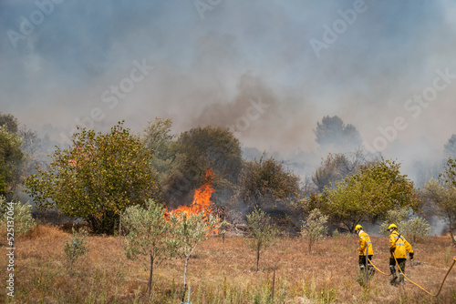 Quadro em tela Bombeiros sapadores na luta contra o incêndio que arde no monte deixando uma gra