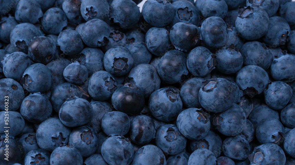 Blueberries in a plastic container isolated on white background. Blueberries in a plastic container isolated on white background.