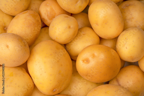 A group of fresh tasty potato as  background.