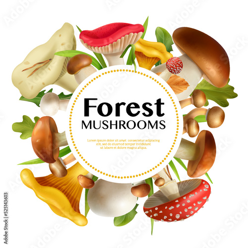 Mushrooms Realistic Frame