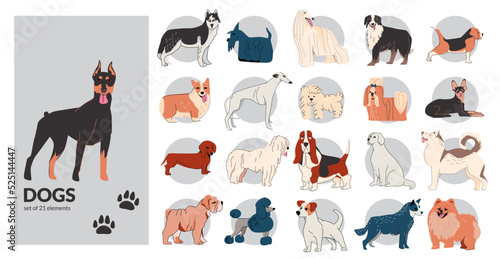 Dog Drawing Outline Collection