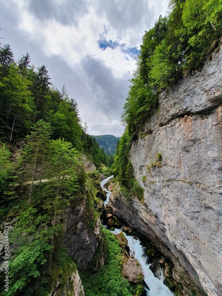 mountain river in the mountains