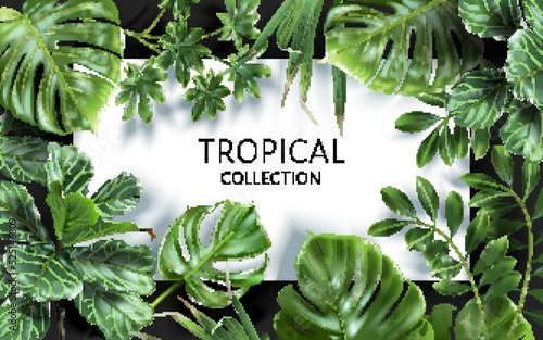 Vector frame with green tropical leaves