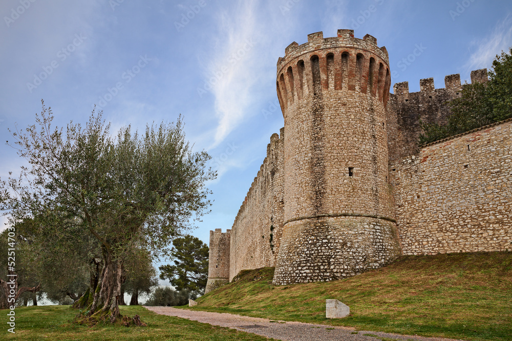 Castiglione del Lago, Perugia, Umbria, Italy: the walls of the medieval fortress and olive trees for oil production on the shore of Trasimeno lake