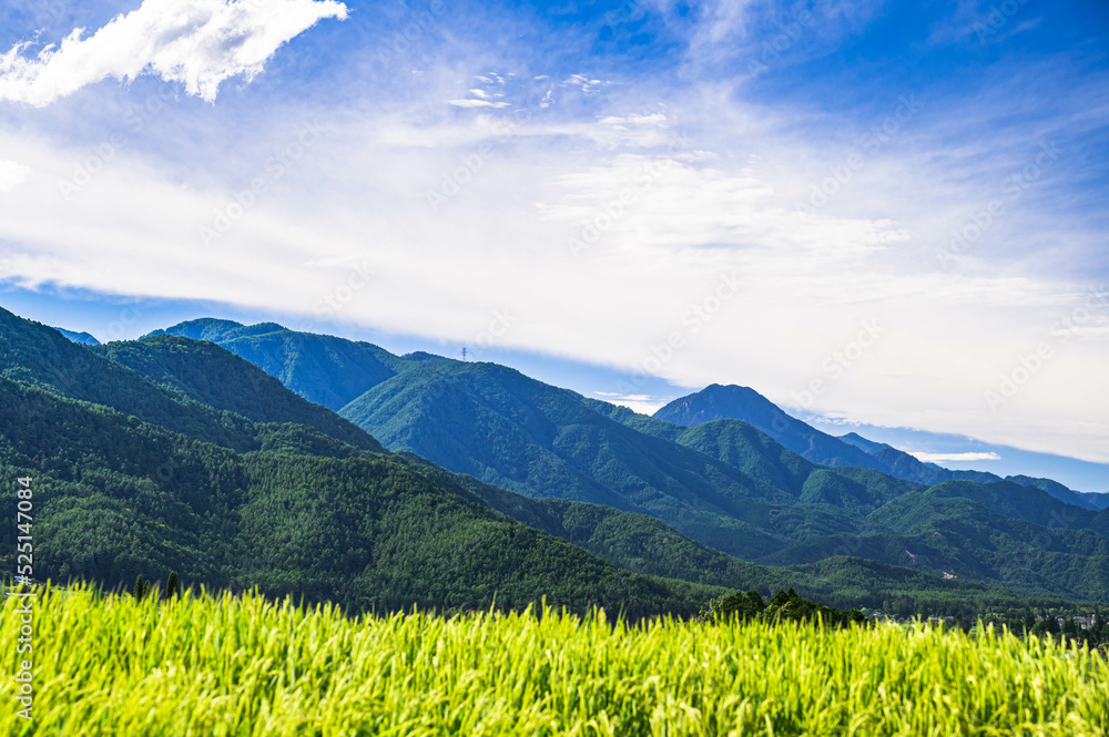 Obraz premium 夏の穂高からの稲と山並み 