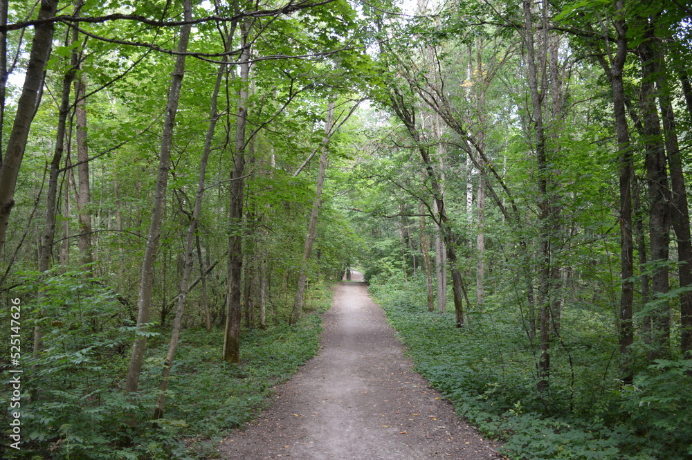 Naklejka premium An old semi-abandoned park 