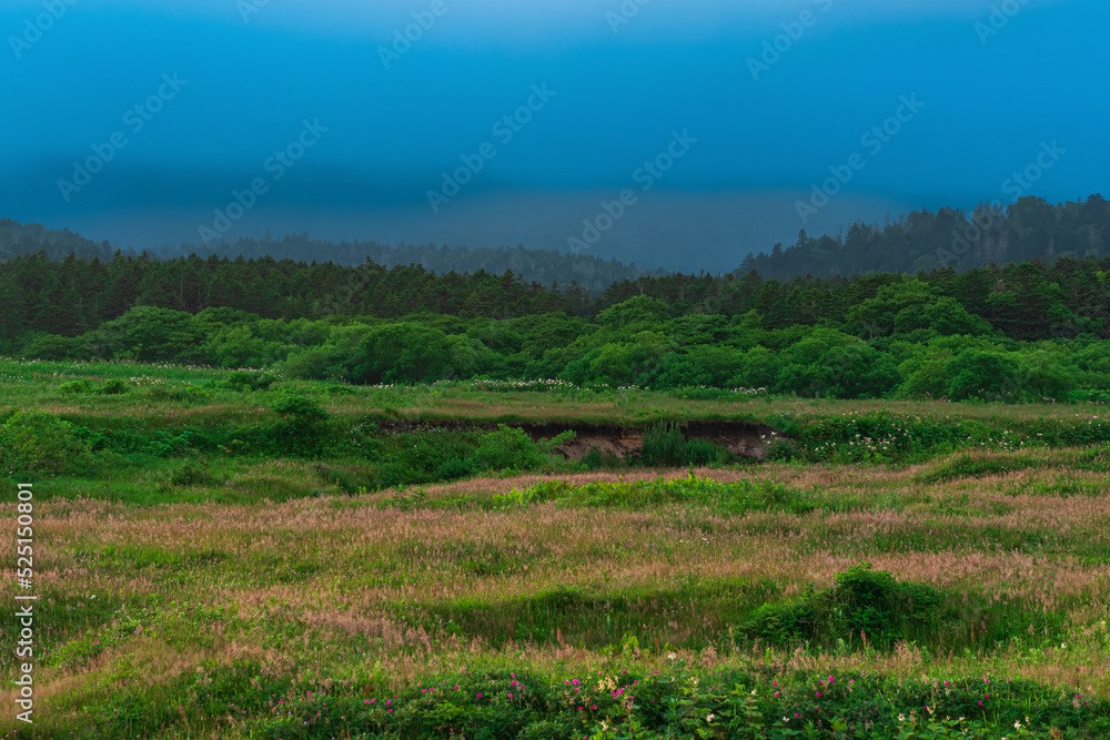 Obraz premium natural landscape of Kunashir island with low rain clouds covering the mountains in the background
