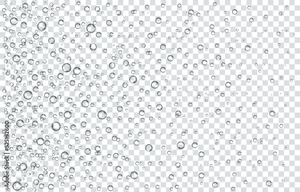 Oxygen air bubbles flow in water on white background. Oxygen air bubbles flow in water on white background.