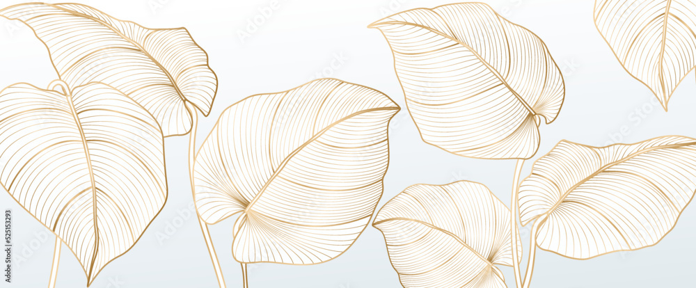 Fototapeta białe liście luksusowe