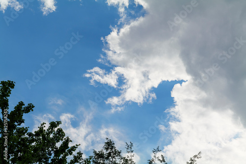 beautiful nature blue sky with clouds and trees  sky clouds background  copy space. High quality photo