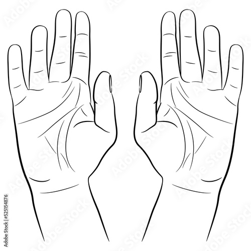 Two raised up human hands with open palms. Capitulation surrender gesture. Black and white linear silhouette. Cartoon style. Isolated vector illustration.