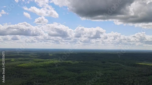 Blue sky panorama with clouds over tops of green trees. Blue sky and white cloud soft. White clouds background. Green tree top line over blue sky and clouds background in summer.