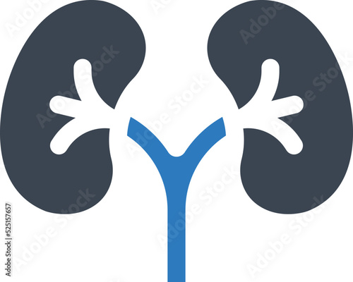 Human kidneys icon