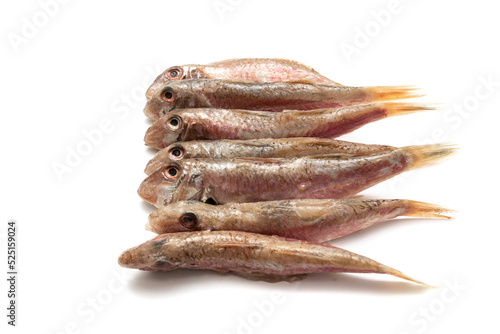 Raw and clean red mullet, isolated on white background. Mullus surmuletus is a bony fish, small in size, edible and highly appreciated. It is found throughout the Andalusian coast. photo