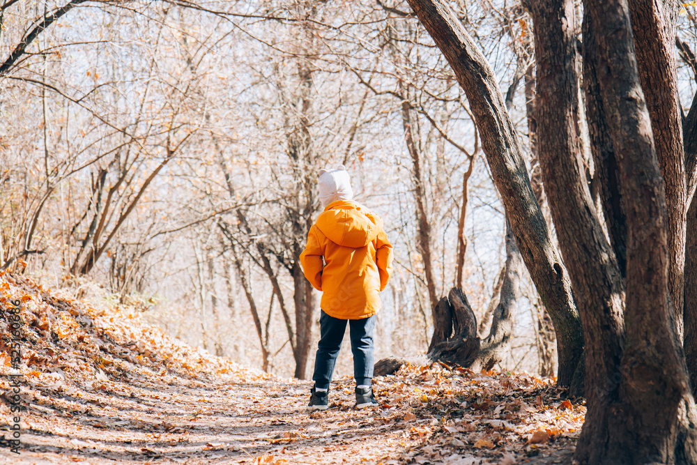 Child in a bright orange jacket in the autumn forest, park. Rest at nature. Walking with a child Child in a bright orange jacket in the autumn forest, park. Rest at nature. Walking with a child