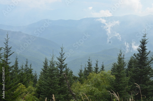 Stunning mountain view in Great Smoky Mountains National Park in Tennessee, North Carolina with evergreen trees in the foreground 