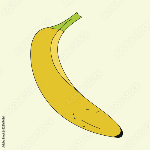 Banana vector art. Fruit signs and symbols.