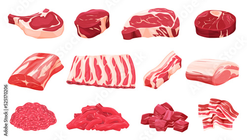 Set of fresh meat. Different parts of animal meat beef and pork. Vector illustration