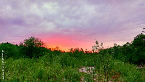 sunset in the field © manu