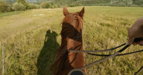 Wallpaper Mural POV shot of woman horseback riding through meadow at sunset Torontodigital.ca