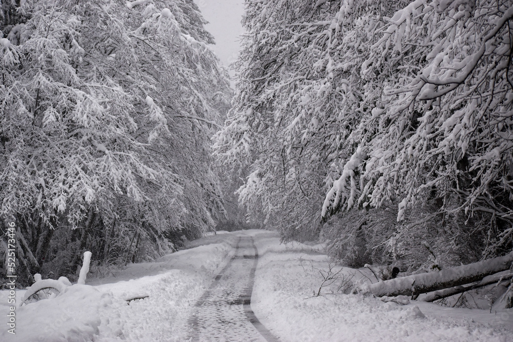 snow path