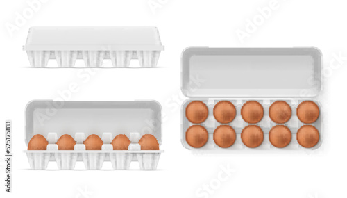 Chicken eggs in open and closed box set realistic 3d icon vector organic farmer eco friendly product