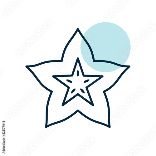 Carom, Carambola, Starfruit vector icon