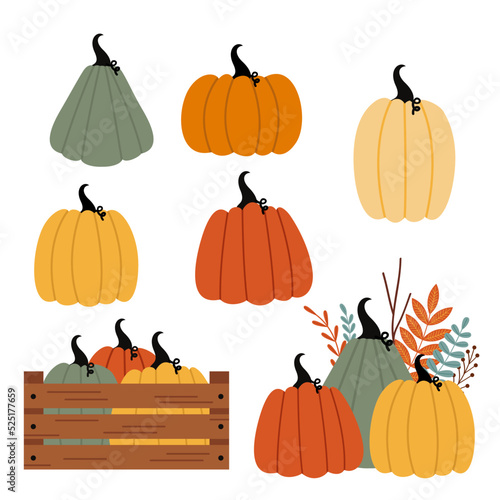 set of isolated pumpkins and autumn plants