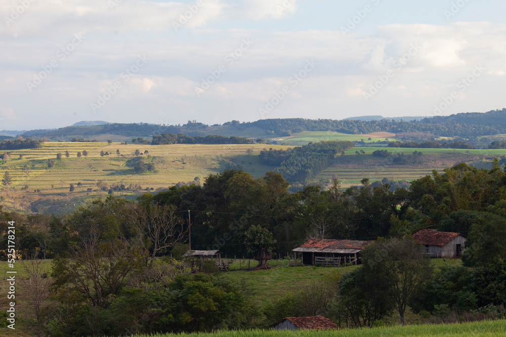 Bucolic Countryside of West Paraná State Brazil - farming district