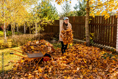 girl having fun throwing while cleaning fallen maple autumn leaves in the garden.