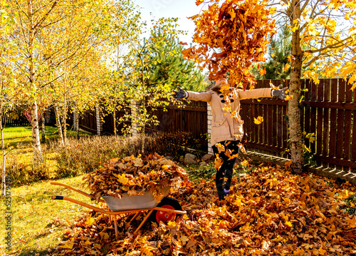 Young Woman having fun throwing while cleaning fallen maple autumn leaves in the garden.