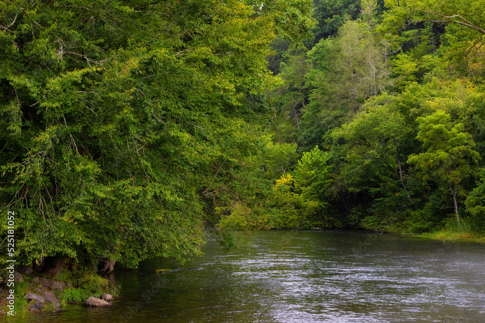 Scenic landscape of the South Holston River in Bristol, Tennessee