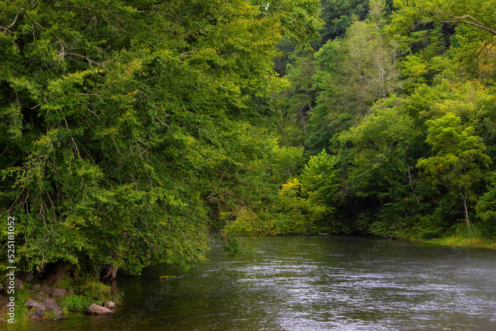 Scenic landscape of the South Holston River in Bristol, Tennessee Scenic landscape of the South Holston River in Bristol, Tennessee