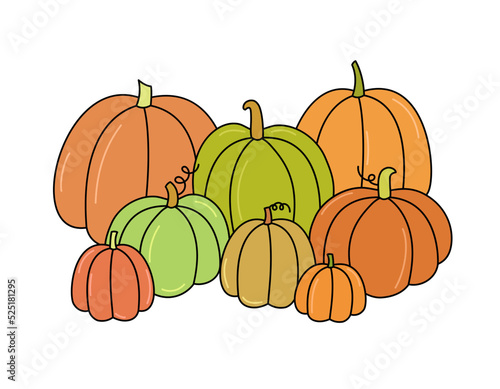 Pumpkin harvest vector illustration. Pumpkins composition isolated on white background. Doodle colorful hand drawn outline vegetables pile. Symbol of autumn harvest and Thanksgiving holiday